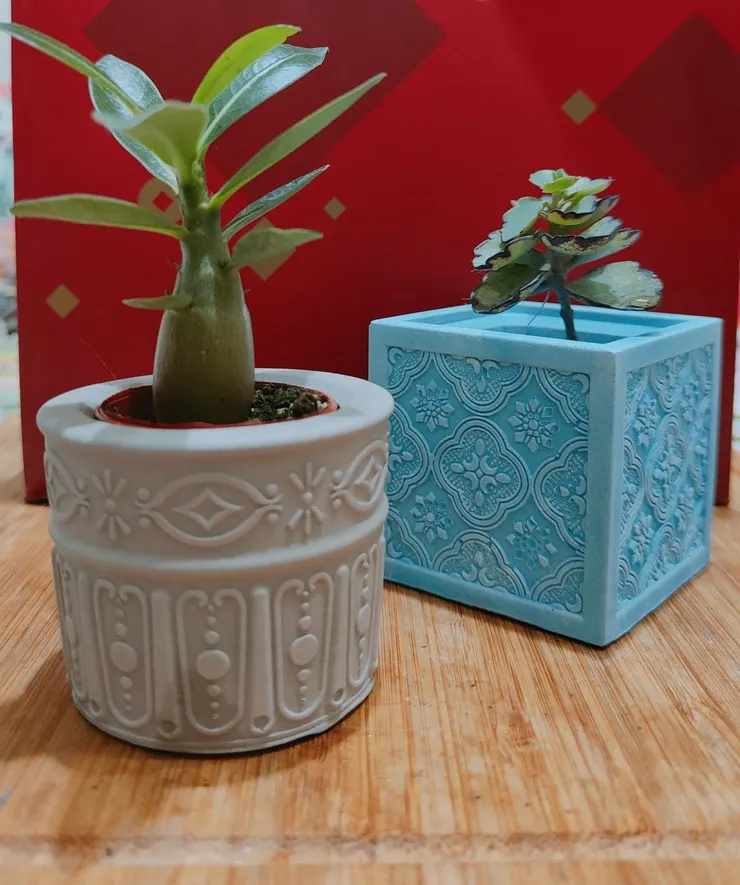 綠色植物助於身心