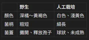 不同栽培方式的金針菇型態比較