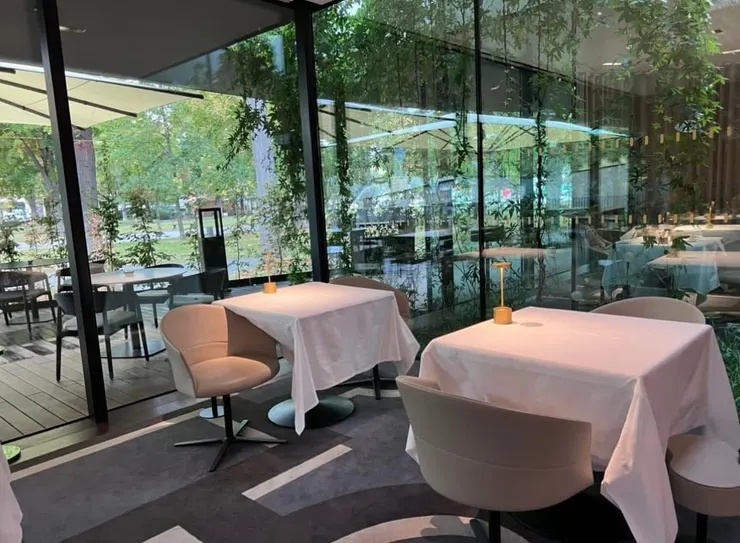 坐在森林中用餐