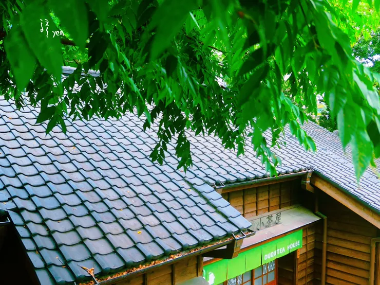 建築上頭的日式黑瓦