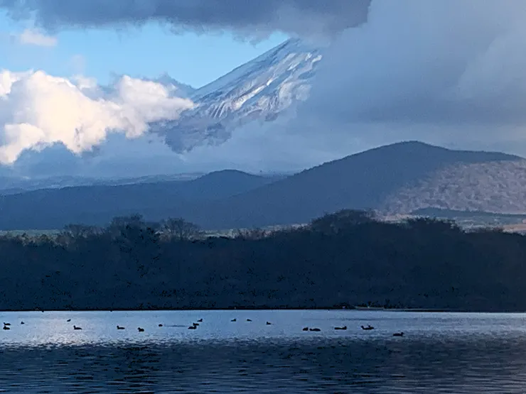 Zora 攝於精進湖,2024 / 11 / 21。