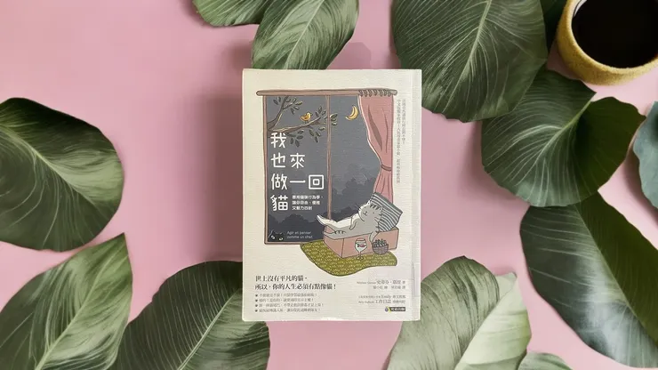 Photo by 自行拍攝、AI工具 Pebblely、clipdrop