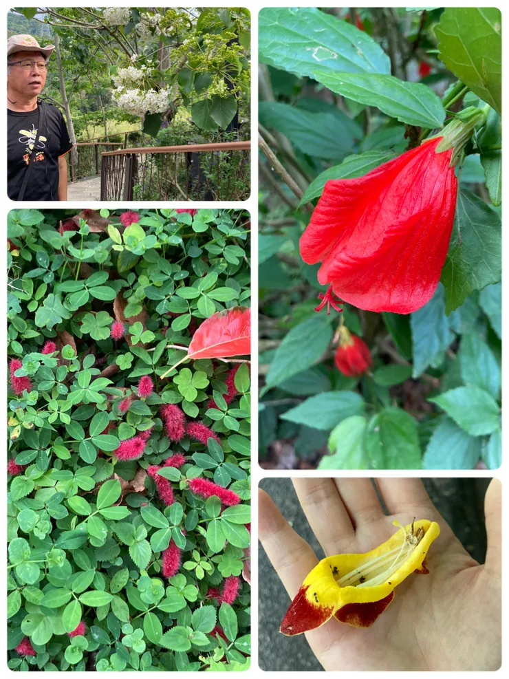 很棒的生態導覽