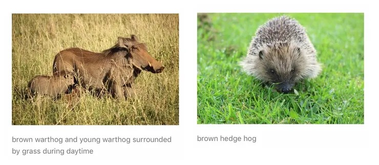 【附圖：左圖的&nbsp;hog&nbsp;是&nbsp;warthog (荒野生豪豬。中文或漢譯「疣豬」，難道是覺得牠天生有病？)，右圖的&nbsp;hog&nbsp;意通中文漢譯「箭豬」或&nbsp;English&nbsp;之&nbsp;porcupine (筆管鬛豪；豬有冗群松針)&nbsp;或&nbsp;hedgehog (很多棘豪豬；刺猬)&nbsp;指稱的動物&nbsp;/&nbsp;圖片採自&nbsp;Unsplash】