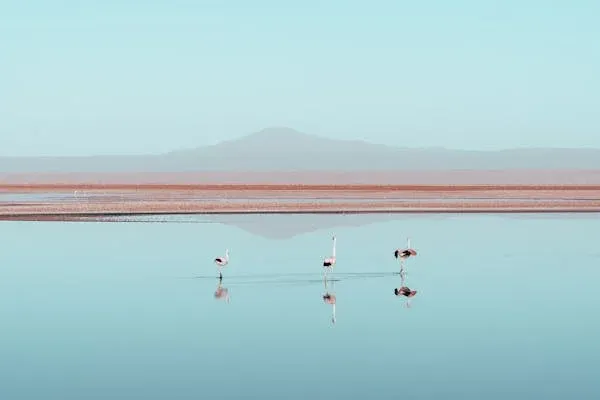 解讀阿卡西紀錄