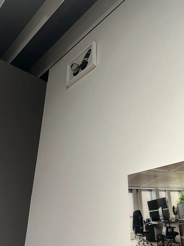 展覽角落的蝴蝶影像。本文作者攝。