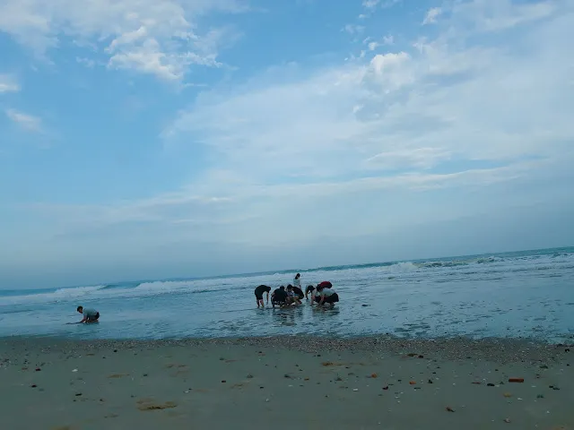 金門后湖海濱公園白沙灘挖花蛤鏟喇仔體驗)