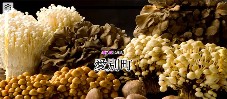 圖片來源:愛別町官網