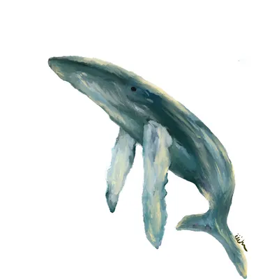 iiihhhh的隨想/讀書心得的沙龍