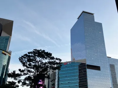 昏昏欲睡的今天