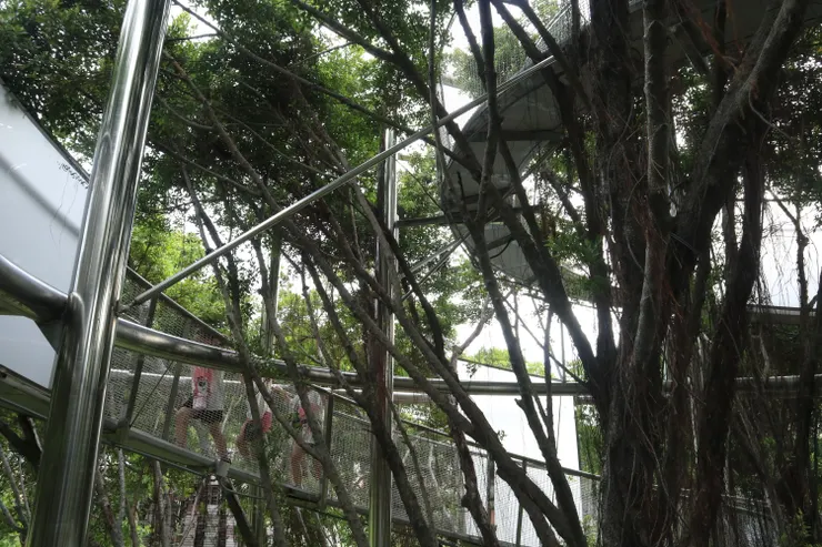三個小朋友排排隊爬坡向上