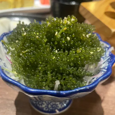 君旅生涯👣👣👣的沙龍