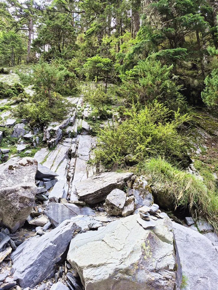 ▲由此陡上，之後的亂石、倒木感覺像是五百障礙。