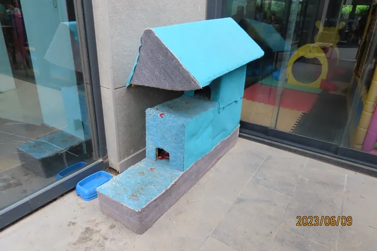 圖十一: Park Dedeman Hotel 門口的貓屋。