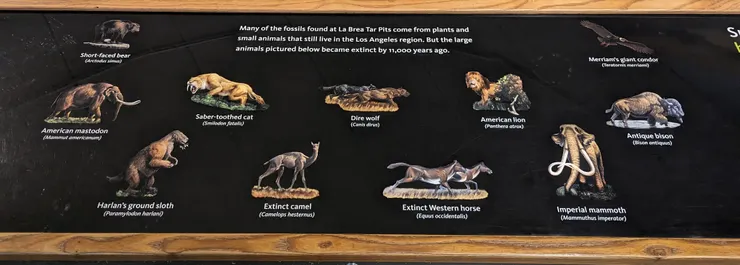 這裡最重要的動物就是這幾種了