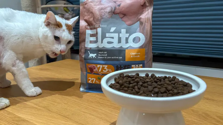 糯米：這是我的晚餐嗎？