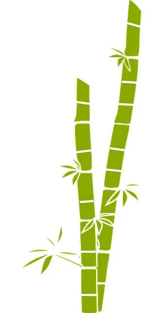 【甘庶sugar cane】不知道這算是竹或是甘庶(？)，我的關鍵字確實是打sugar cane，反正是不認真圖解，好玩的是甘庶英文叫條狀的糖(甜到不行)，也許《山海經》的栯木原型該參考甘庶非梨木