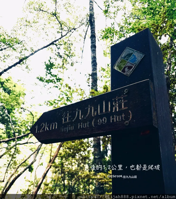 【大霸群峰4百岳。兩天一夜】觀霧大鹿林道東線騎越野單車/馬達