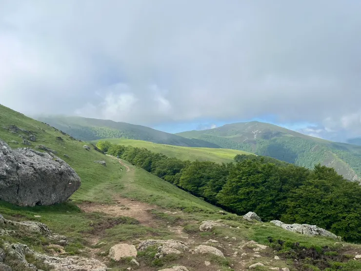 剛開始爬，心曠神怡、風景優美