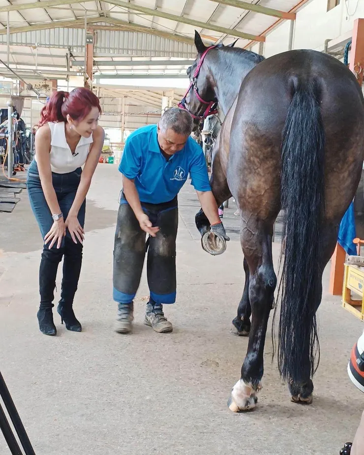 照片為掌工師出身的山海觀馬場經營者謝煥祥(右)，親自為馬兒修指甲，量身打造專屬的鞋子。