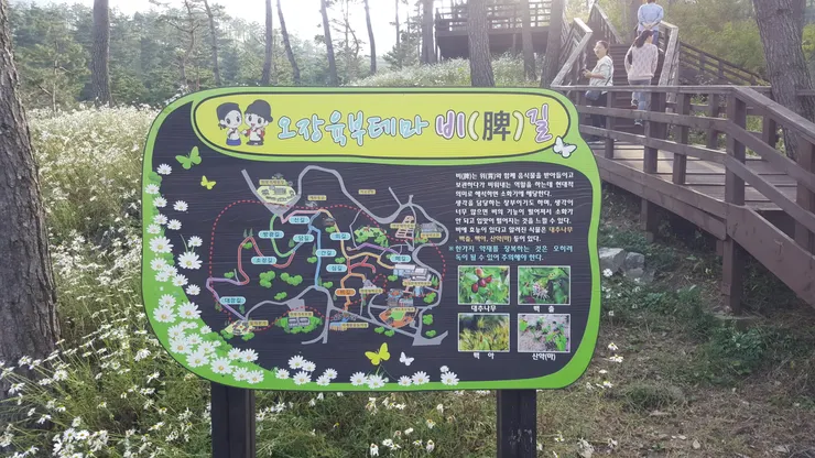 五臟六腑主題公園