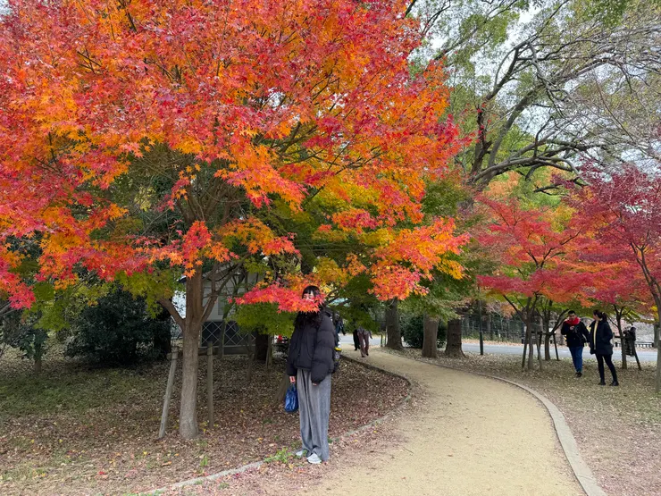 大阪萬博記念公園
