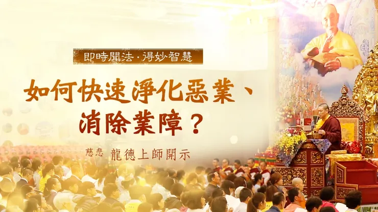 龍德上師：如何快速淨化惡業、消除業障？