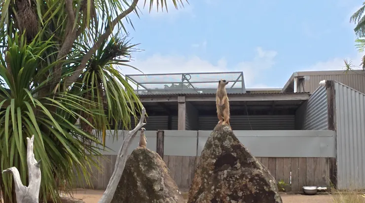 Symbio Wildlife Park 雪梨, 25/12/15