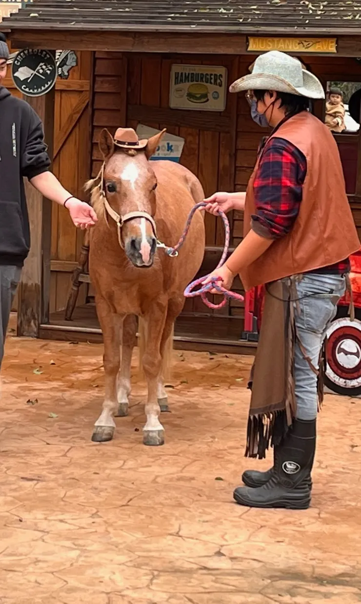 千呼萬喚才出來的馬兒。