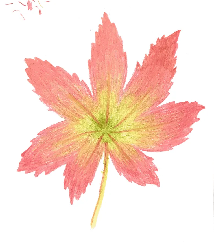 色鉛筆復健成品2