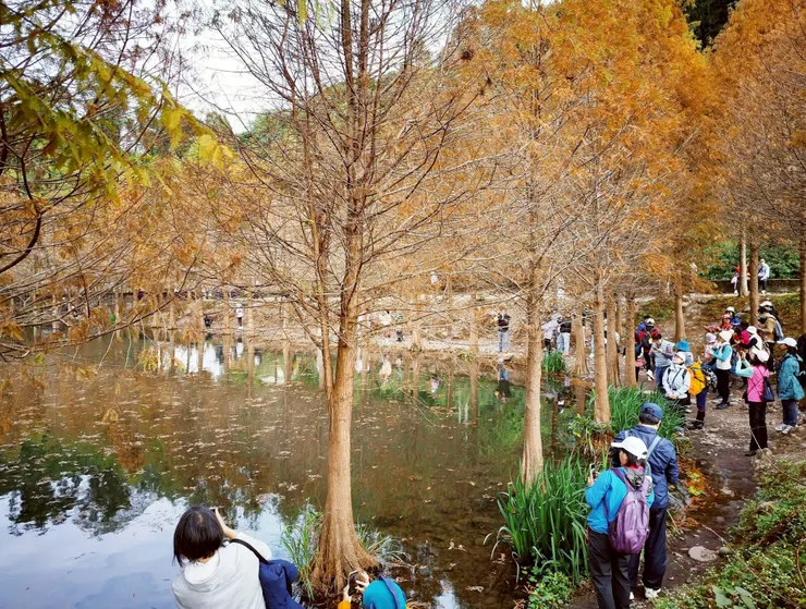 每一個人看起來都好專業😆