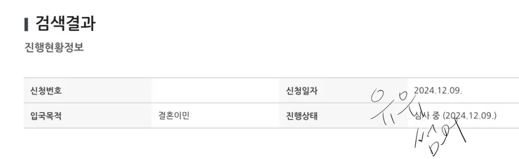 簽證檢查結果-審核中