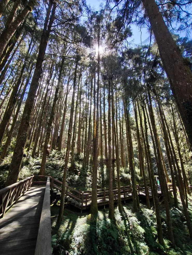 感謝 阿伯的美照