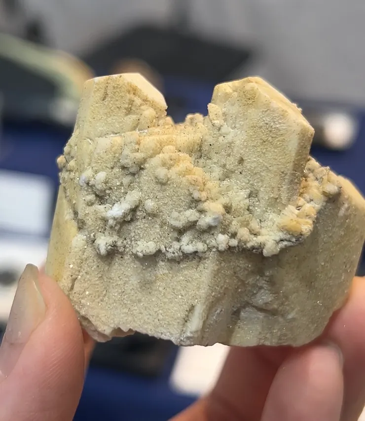 日本本地礦中難得可以看見如此完整又精緻的礦標。圖為微斜長石與玉滴石共生