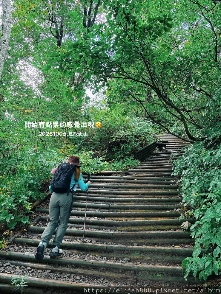 【2025初秋.鳥取県大山町登山趣】夏日登山口/海拔1709