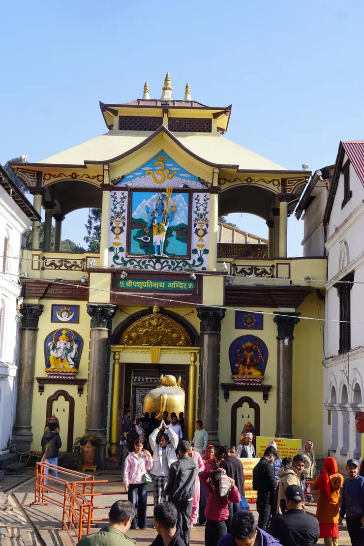 背對著主廟大門的金色神牛