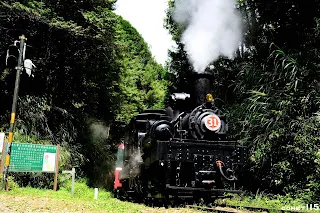 臺大火車社31周年專列行駛在本校校地，大概是全臺大學鐵道社團都難有的體驗