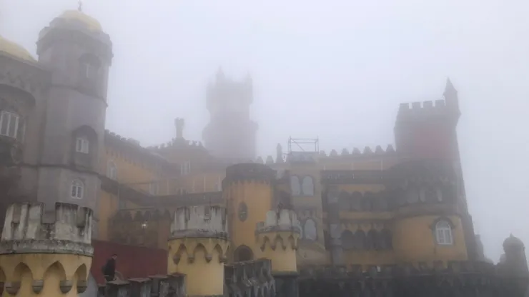 就是這麼霧,說好的鮮豔黃色呢嗚嗚