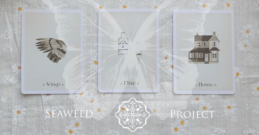 Seaweed Project的沙龍