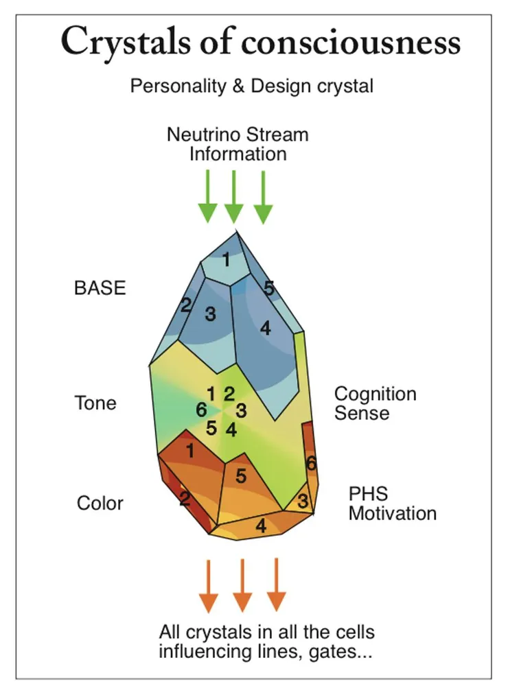 圖源：互聯網/FB群組