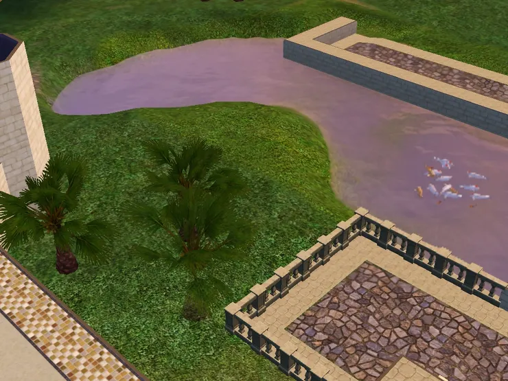 有魚耶！但聽說錦鯉不能吃。