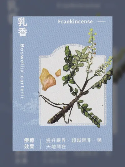 在對與錯之外，有一片森林 🌳