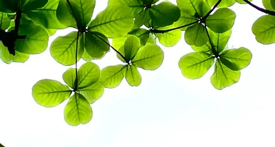 MRL-TCMstudy的沙龍