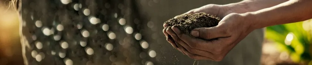 把自己種進世界的土壤裡