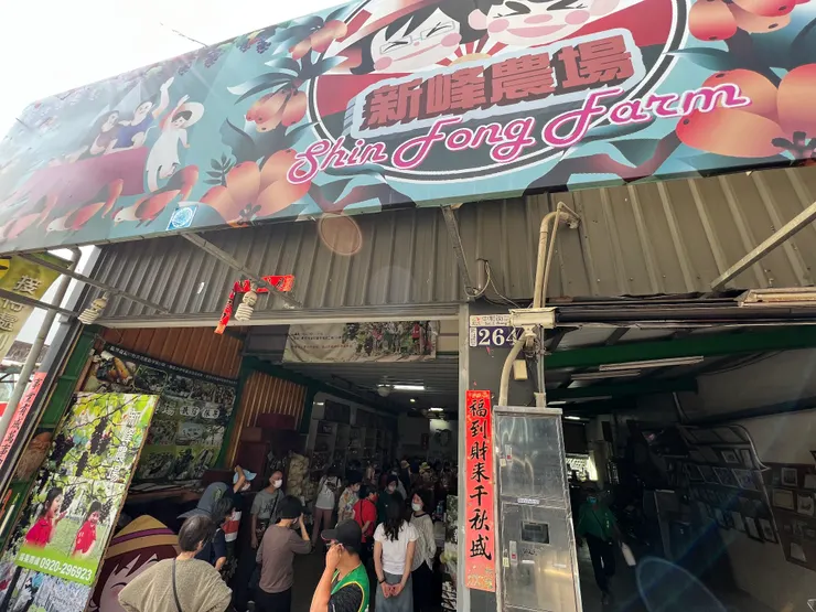 今天光顧的農場