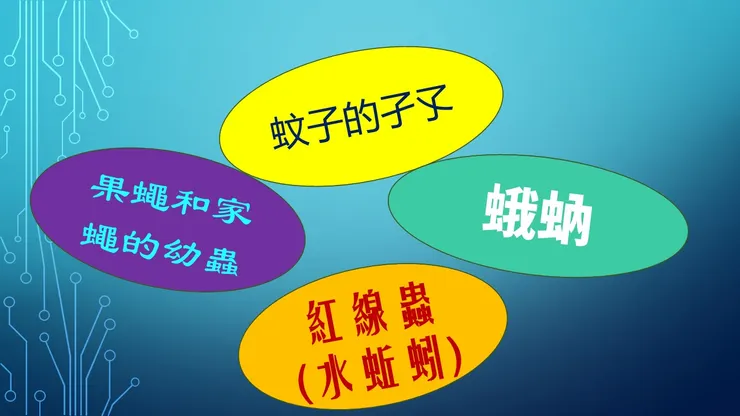 浴廁不通常見蚊蟲類