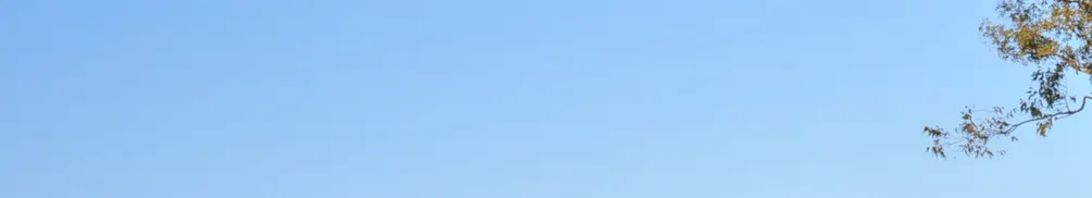 mori.huahua的沙龍