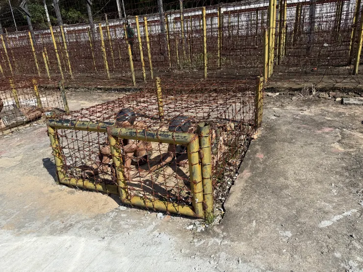 「老虎籠」示意圖