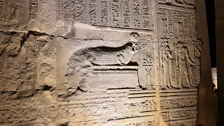 壁畫中出現很多鱷魚