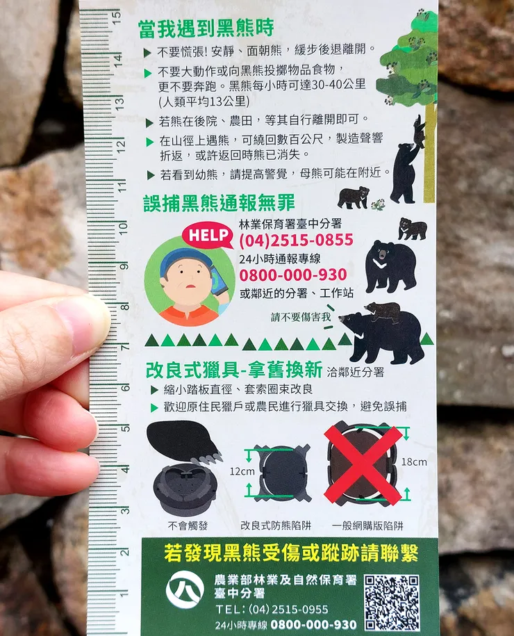 ▲台中「大雪山國家森林遊樂區」/圖片來源：Betty's Jump Diary